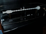 D195.jpg